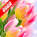 Flower Wallpaper APK