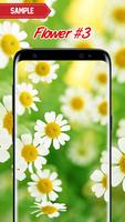 Flower Wallpaper تصوير الشاشة 2