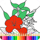 APK Flower coloring book