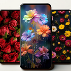 Papéis de parede de flores HD ícone