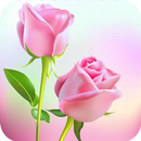 Rose Animated Images Gifs - Colorful Flowers HD 4K APK