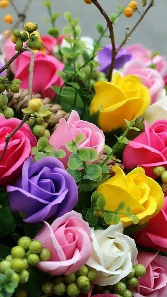 Beautiful flowers and roses pictures Gif APK pour Android Télécharger