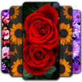 Flowers Wallpaper 🌷 💐 🌹