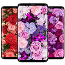 Flowers Wallpapers-APK