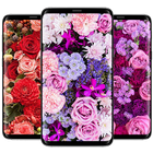 Flowers Wallpapers آئیکن