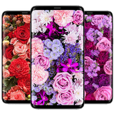 Flowers Wallpapers