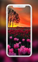 Flowers Wallpapers اسکرین شاٹ 2