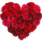 WASticker - Love flowers icon