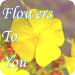Flores pra Você