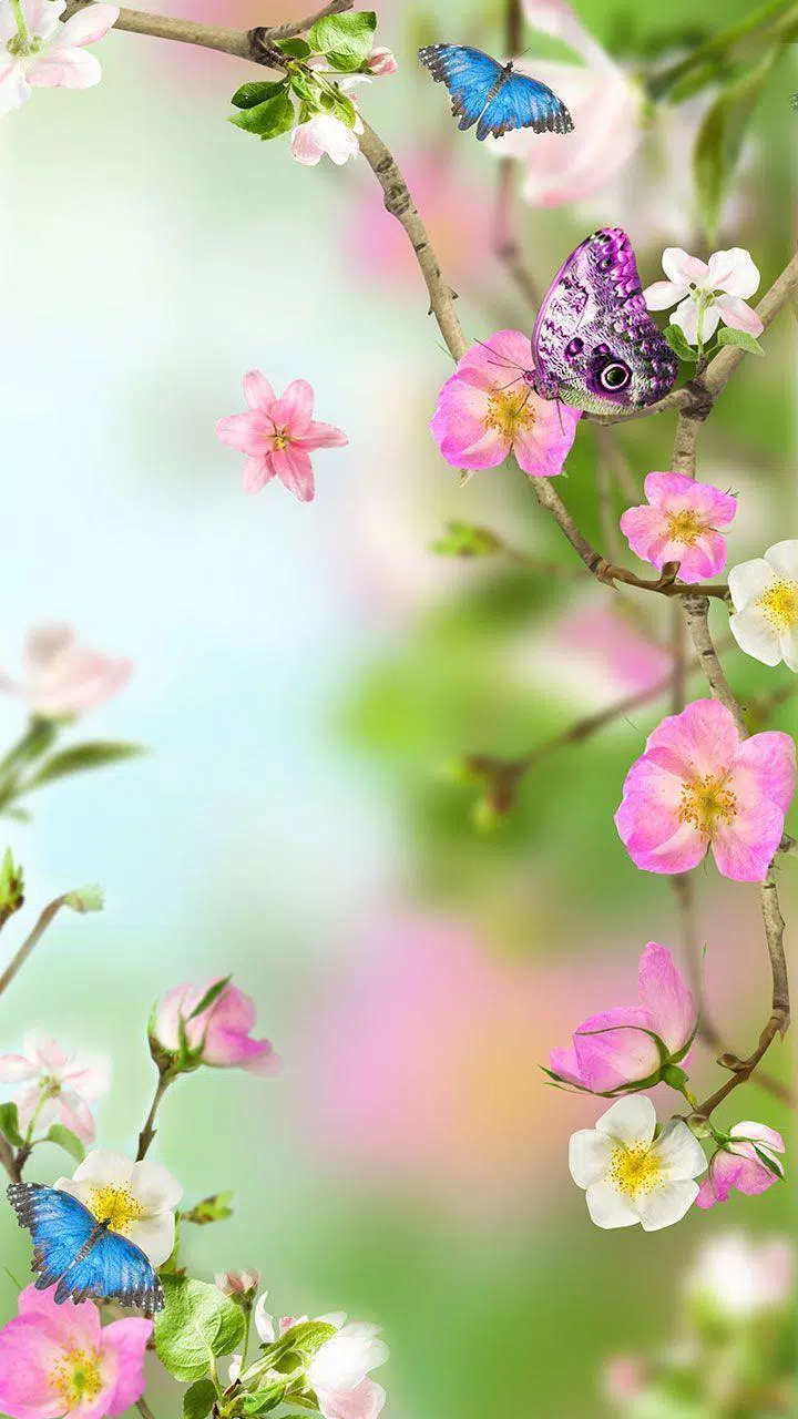 Beautiful Flowers Wallpaper HD APK for Android Download Beautiful Flowers Wallpaper HD APK for Android Download