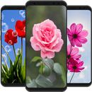 Flower Wallpaper HD APK
