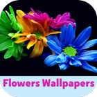 flowers wallpapers simgesi