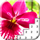 Color By Number Flowers Pixel Art Game APK