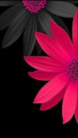 Flowers HD Wallpapers, Colorful live Roses 4K capture d'écran 1