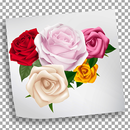 Rose Flower WAStickerApp for Whatsapp APK