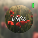 Flower Video Wallpapers APK