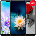 4K Wallpaper Flower آئیکن