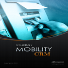 Synergy FLM ATM CRM アイコン