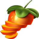 Fruity Loops For Beginners APK