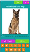 Dog Breed Quiz Affiche