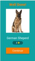 Dog Breed Quiz syot layar 1