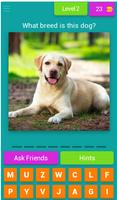Dog Breed Quiz imagem de tela 2