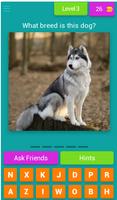 Dog Breed Quiz imagem de tela 3