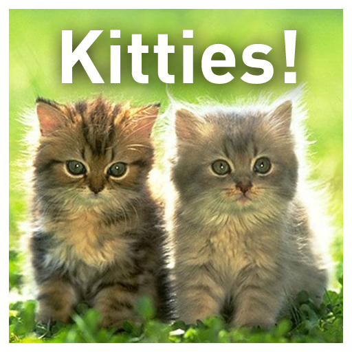 Kitties!