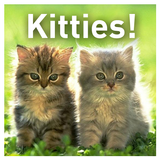 Kitties! آئیکن