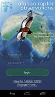 African Raptor Observations poster