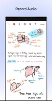 Noteshelf - Notes, Annotations ảnh chụp màn hình 3