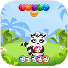 Raccoon: Bubble Shooter icône