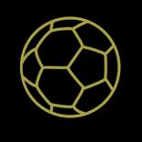 Ballon d'Or - Football Award