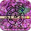 Set Alarm Flute Sound