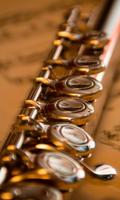Flute Wallpaper screenshot 1
