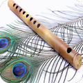 100+Flute Ringtone
