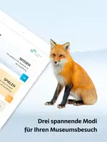 Naturmuseum скриншот 7