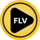 FLV Player - Media Player App icône