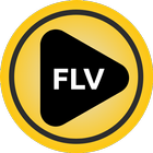 FLV Player - Media Player App icon