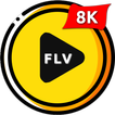 FLV Video Player - MKV Player