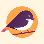 Bird - Unlimited&Secure Server