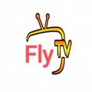 P2 fly-APK