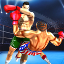 Fists For Fighting (Fx3) APK