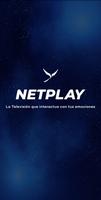 Netplay poster