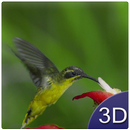 Flying Birds 3D APK
