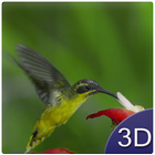 Flying Birds 3D ikon