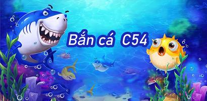 C54 Fly Fish Affiche