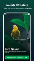 Bird Ringtone: Bird Sound ảnh chụp màn hình 3