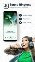 Bird Ringtone: Bird Sound bài đăng