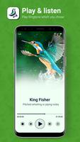Bird Ringtone: Bird Sound ảnh chụp màn hình 1